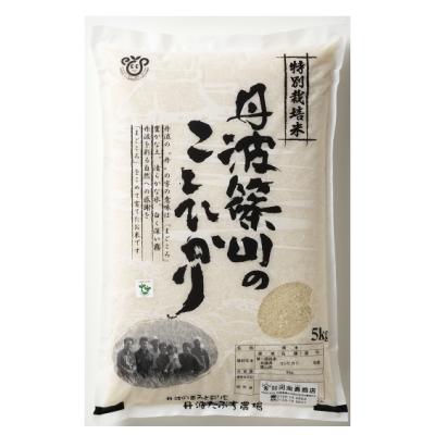 新米 予約販売！お米 こしひかり 5kg 令和6年度産 丹波 篠山産 新米 減農薬 栽培【 特別栽培米 】のサムネイル