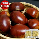 ※予約商品※ 2025年産 丹波栗 むき栗 300g×2袋 手剥き 自社加工 生栗 冷凍品