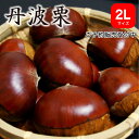 ※予約商品※ 2025年産 生栗 丹波栗2Lサイズ 1kg 丹波篠山