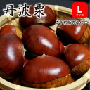※予約商品※ 2025年産 生栗 丹波栗 Lサイズ 1kg 丹波篠山
