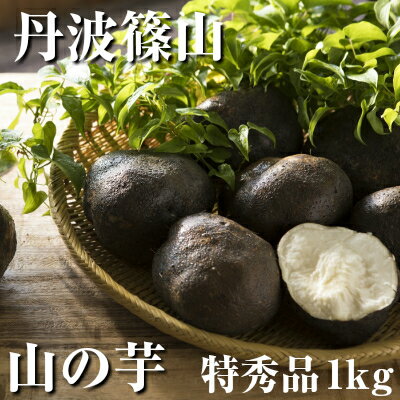 丹波篠山産 山の芋 特秀品1kg箱 (2〜3個位) 粘り抜群 とろろ芋 山芋 つくね芋 霧芋 美味 伝統 野菜 産地直送 特産品 特産物とろろ とろろ汁 希少のサムネイル