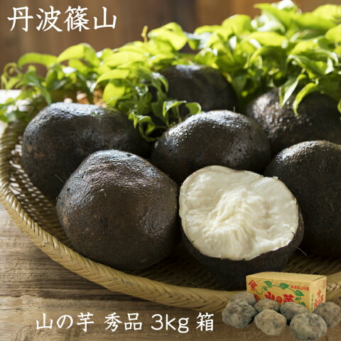 丹波篠山産 山の芋 秀品3kg箱入り
