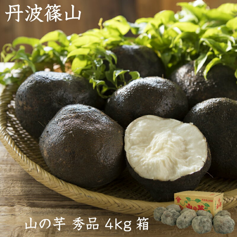 丹波篠山産 山の芋 秀品4kg箱 (9〜12個位) 粘り抜群 とろろ芋 山芋 つくね芋 霧芋 美味 伝統 野菜 産地直送 特産品 特産物 とろろ とろろ汁