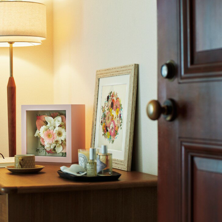 �ץ��ݡ�����« ��¸ ���ե����֡��� ������ �ۡҤ��餫�� H415��W415�ӥ֡�����Ĥ�/��ǰ�ե졼��/̵�����/�Х�/��/�ե��ȥ����ǥ���/�֡����ù�/�����б� KANNAX ���ե����֡�������Ź