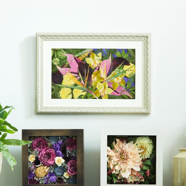 �뺧���֡�����¸ ���ե����֡��� ������ �ۡҥ��ڥ� H520��W370�Ӳ�«��Ĥ�/̵�����/�ե��ȥ����ǥ���/�֡����ù�/�����б� KANNAX ���ե����֡�������Ź