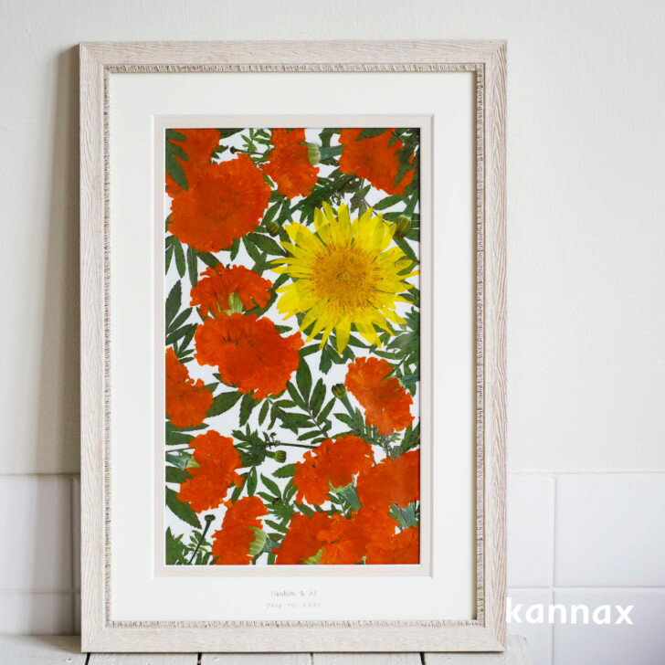 �ץ��ݡ�����« ��¸ ���ե����֡��� ������ �ۡҥ����� H500��W350�ӥ֡�����Ĥ�/��ǰ�ե졼��/̵�����/�Х�/��/�ե��ȥ����ǥ���/�֡����ù�/�����б� KANNAX ���ե����֡�������Ź