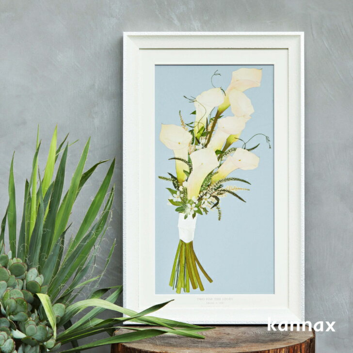 �뺧���֡�����¸ ���ե����֡��� ������ �ۡҥΡ��֥� H655��W405�Ӳ�«��Ĥ�/̵�����/�ե��ȥ����ǥ���/�֡����ù�/�����б� KANNAX ���ե����֡�������Ź