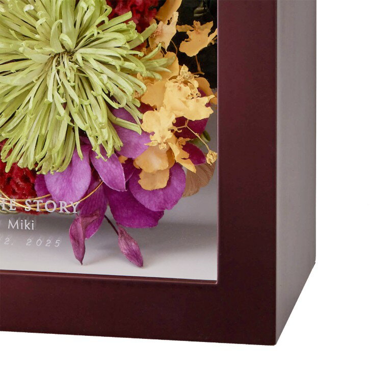 �ץ��ݡ�����« ��¸ ���ե����֡��� �ɥ饤�ե� �ۡҥ��塼�ӥå� ���祳�� H265 �� W265 �� D140�ӥ֡�����Ĥ�/��ǰ�ե졼��/̵�����/�Х�/��/�ե��ȥ����ǥ���/�֡����ù�/�����б� KANNAX ���ե����֡�������Ź