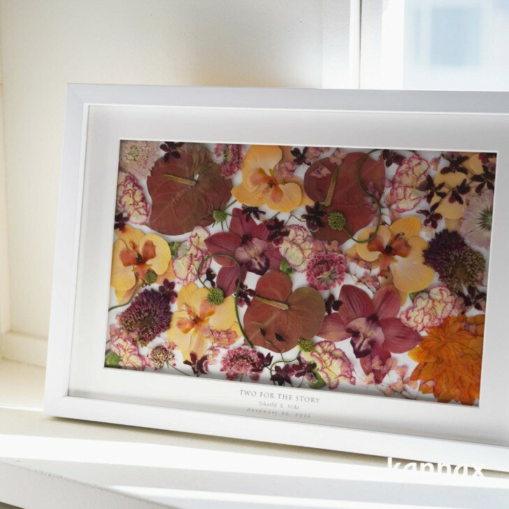 �뺧���֡�����¸ ���ե����֡��� ������ �ۡҥ����Х� �͡����� H485 �� W335�Ӳ�«��Ĥ�/̵�����/�ե��ȥ����ǥ���/�֡����ù�/�����б� KANNAX ���ե����֡�������Ź