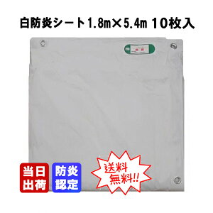 白防炎シートE 1.8m×5.4m 10枚入/CS 消防庁認定 防炎認定 PVC 建築養生 工事現場 塗装作業 雨水対策 倉庫間仕切り 目隠し 模擬店 屋台
