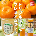 観音山フルーツガーデン ギフトセット トリプルみかんプレミアム 花鳥風月 和歌山観音山みかん&とろコク搾り&みかん生はちみつ 送料無料|詳細画像