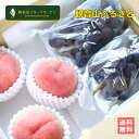 観音山フルーツガーデン 桃とぶどうのセット ふるさと 和歌山県産桃3玉、ピオーネ2房 送料無料