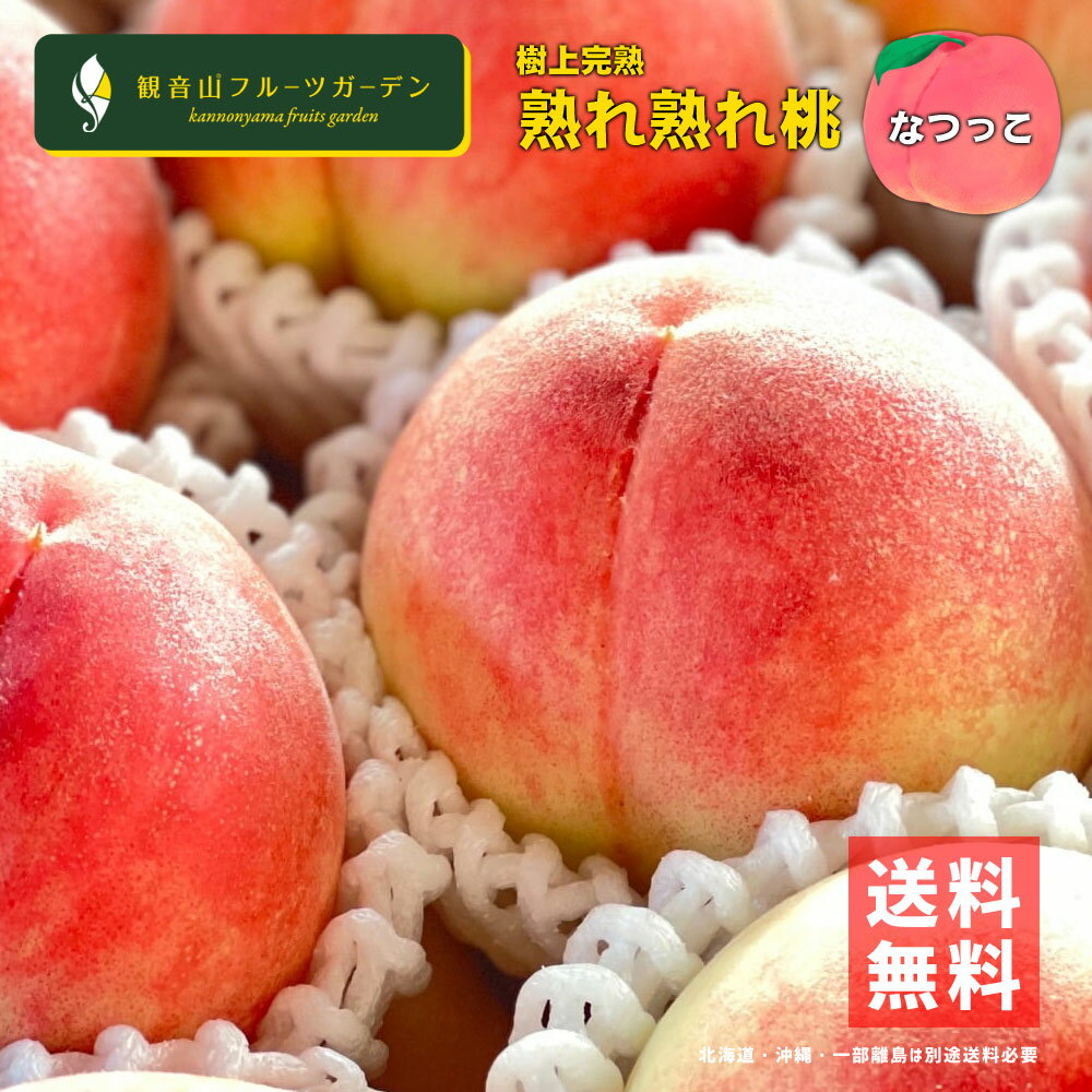 桃 なつっこ 紀ノ川 熟れ熟れ桃 夏っ子 A級 4kg 和歌山 観音山フルーツガーデン 送料無料