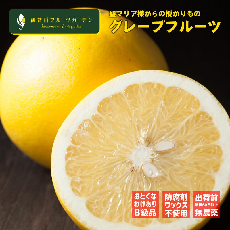 国産グレープフルーツ レッドブラッシュ 訳ありえくぼ 1kg 観音山フルーツガーデン 送料無料