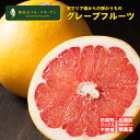 国産グレープフルーツ スタールビー A級品 3kg 観音山フルーツガーデン 送料無料