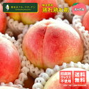 桃 【清水白桃】 紀ノ川 熟れ熟れ桃 B級 2kg 和歌山 観音山フルーツガーデン 送料無料