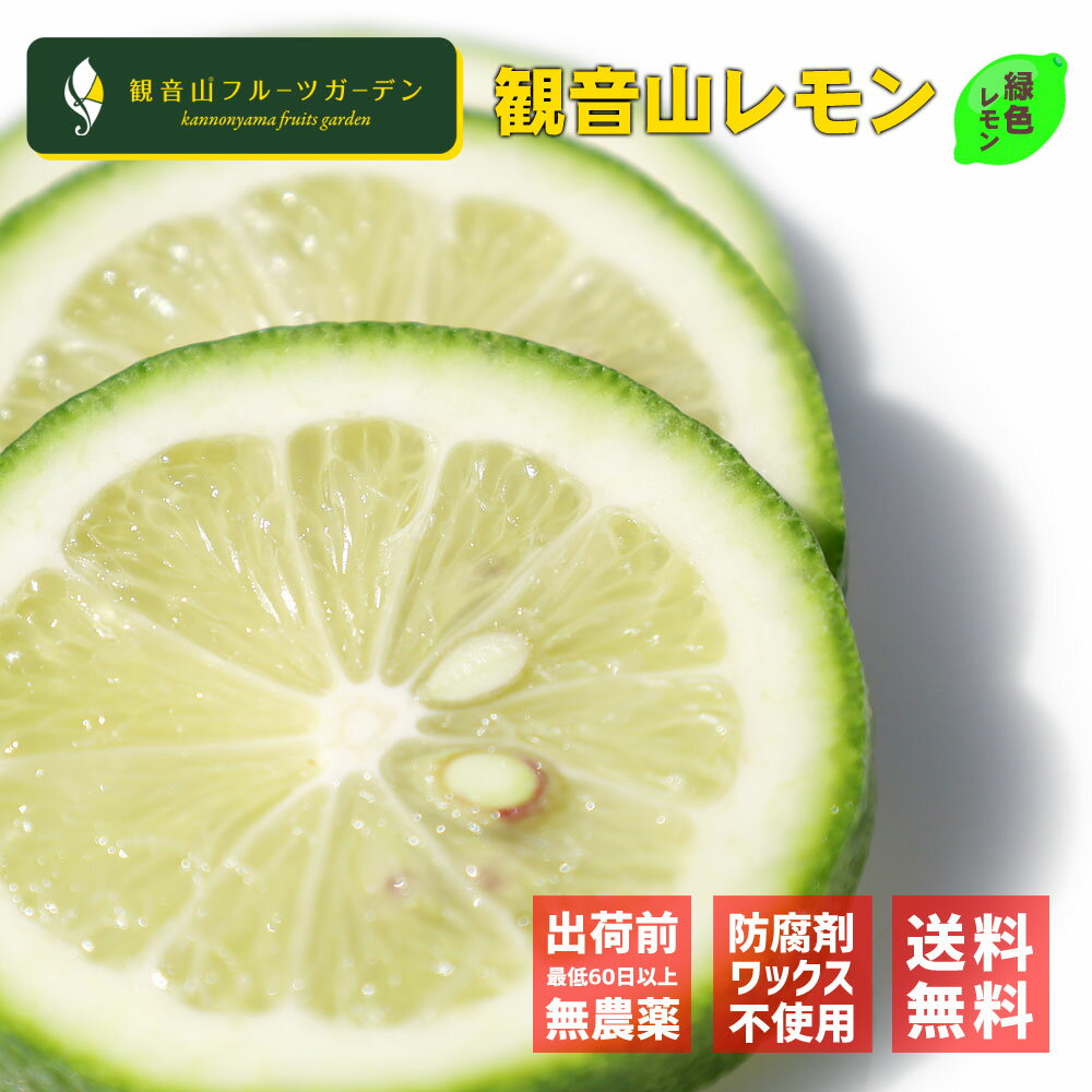 レモン 国産 天皇陛下献上の観音山レモン 果皮が緑色のグリーンレモン A級品 たおやか 2kg 観音山フルーツガーデン 送料無料のサムネイル