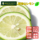 レモン 国産 天皇陛下献上の観音山レモン 果皮が緑色のグリーンレモン わけあり B級品 おてんば娘 1kg 観音山フルーツガーデン 送料無料