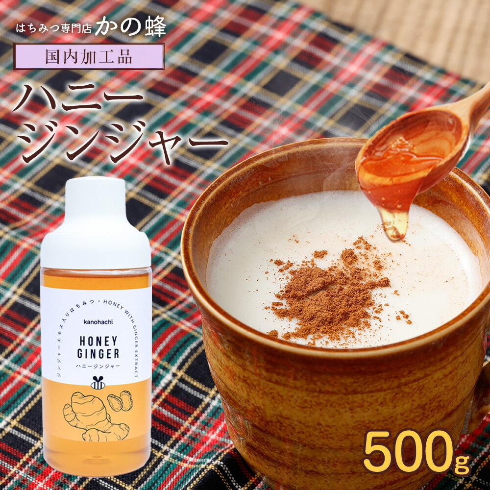 【レビューキャンペーン対象】 ハニージンジャー 500g 生姜 ジンジャー シロップ ジンジャーエキス入り..