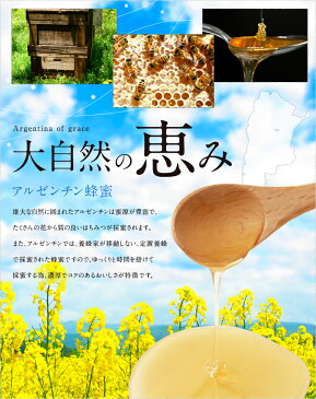 はちみつ 業務用 アルゼンチン産 純粋はちみつPURE HONEY（2.5kg）大容量！業務用蜂蜜　百花蜂蜜