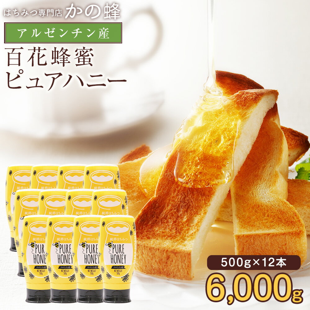 純粋はちみつPURE HONEY 500g×12本セット 完熟蜂蜜 アルゼンチン産 百花蜂蜜 プッシュボトル 6000g まとめ買い 蜂蜜専門店 かの蜂生はちみつ 非常食 100%純粋 健康 健康食品
