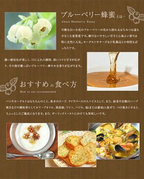 はちみつ【カナダ産】ブルーベリー蜂蜜 300g蜂蜜専門店　かの蜂