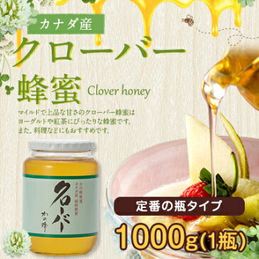 【20％OFF】はちみつ カナダ産 厳選クローバーはちみつ 1000g蜂蜜専門店　かの蜂