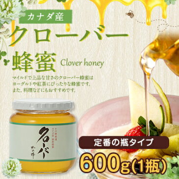 はちみつ【カナダ産】厳選クローバーはちみつ 600g蜂蜜専門店 かの蜂