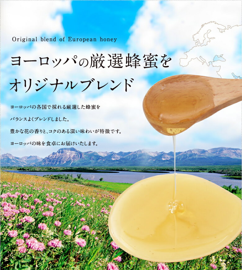 ヨーロピアンブレンド蜂蜜 完熟はちみつ（500g） 使いやすい逆止弁容器プッシュボトル使用 返礼品 生はちみつ 非常食蜂蜜専門店　かの蜂 100％純粋　健康　健康食品 3