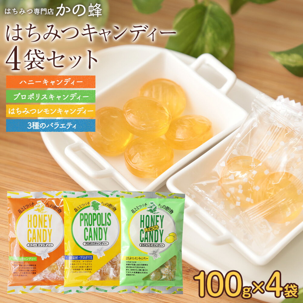 【レビューキャンペーン対象】はち