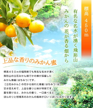 【はちみつの日】国産みかん蜂蜜 1000g 国産はちみつ 蜜柑はちみつ蜂蜜専門店 かの蜂