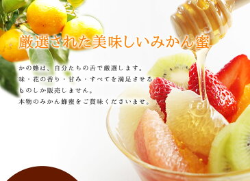 【はちみつの日】国産みかん蜂蜜 1000g 国産はちみつ 蜜柑はちみつ蜂蜜専門店 かの蜂