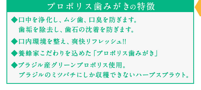 プロポリス歯みがき(100g)プロポリス歯磨き...の紹介画像2