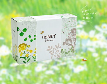 はちみつ ギフト　百花蜂蜜 お中元ギフトセット 送料無料 国産・ヨーロッパ産・アルゼンチン産百花はちみつ各500g（プッシュボトル）ピュアハニー3種セット お中元　夏ギフト 蜂蜜ギフト