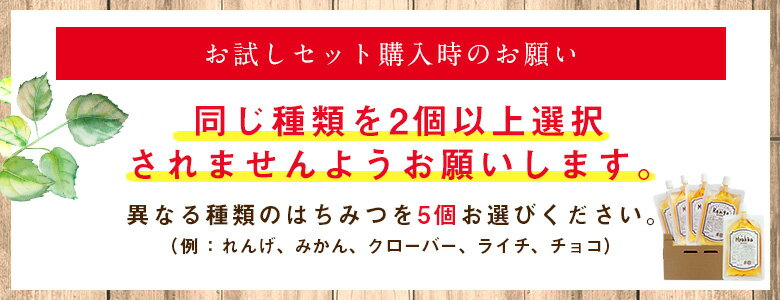 はちみつ 蜂蜜 選べる お試しセット 90g×5個 送料無料 エコパック 詰め替え お取り寄せ グルメ 非加熱 国産、外国産30種以上から5つ選べる！福岡県クーポン ポイント消化 買い回り 2