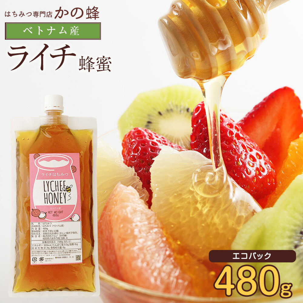 【ベトナム産】ライチ蜂蜜（480g）エコパック フルーティで濃厚な味わい！ お試し メール便 送料無料 生はちみつ 非…