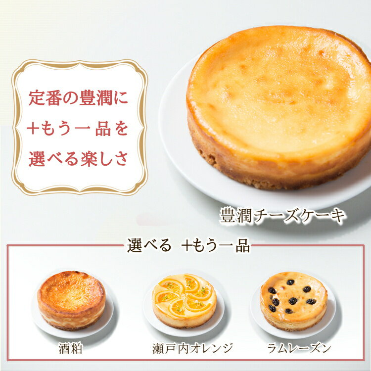 チーズケーキ 食べ比べセット 誕生日 プレゼント 人気の豊潤 ＋ もう一品チーズケーキの2本組 4号x2個 お取り寄せ ギフト 内祝 ホワイトデー スイーツ