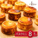 バスク チーズケーキ 個包装 手のひら サイズ 8個 入り 誕生日 大人気 母の日 チーズケーキ 食べきり お取り寄せ スイーツ ギフト