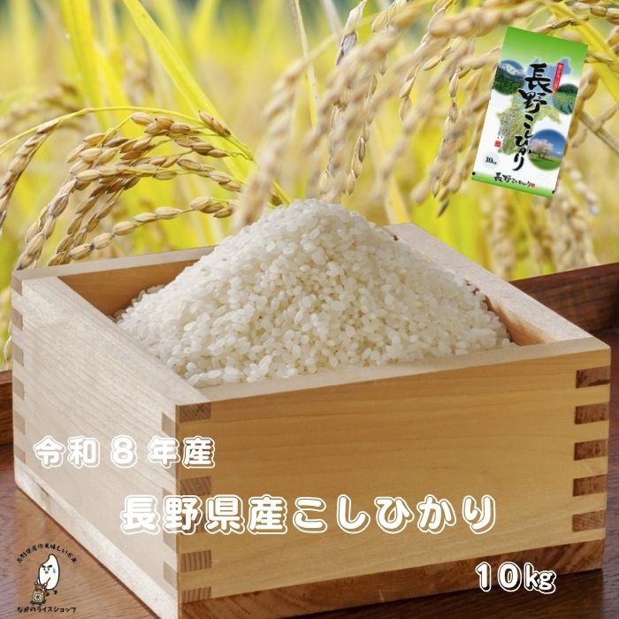 楽天市場】長野県産 新米の通販