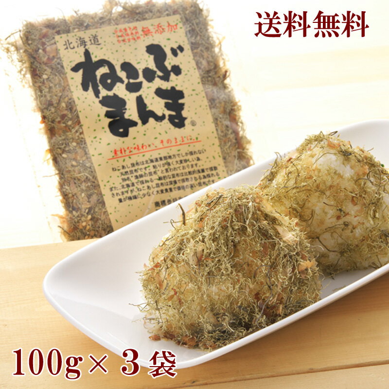 ねこぶまんま 100g×3袋 メール便 送料無料