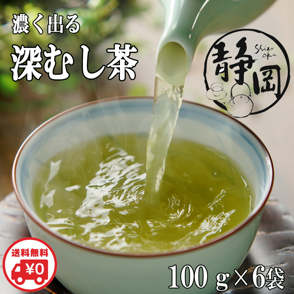 送料無料 深むし茶 深蒸し茶 100g×6袋 母の日 静岡茶 真空パック 高級 緑茶 お茶 日本茶 煎茶 業務用 お徳用 家庭用 茶葉 濃い緑茶 牧之原茶 水出し 水出し茶 水出し緑茶 メール便 静岡 茶 お返し プレゼント 静岡茶ギフト