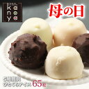 鹿野屋 アイスクリーム 【16日01時59分まで3,780円→3,390円】 母の日 母の日ギフト ギフト お返し アイス アイスクリーム スイーツ チョコ チョコレート バニラ 福袋 詰め合わせ おしゃれ 一口アイス 内祝い 引っ越し挨拶 出産内祝い 快気内祝い チョコアイスボールセット65粒