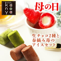 https://thumbnail.image.rakuten.co.jp/@0_mall/kanoya/cabinet/gift/mom/ichigochocoset_mam.jpg