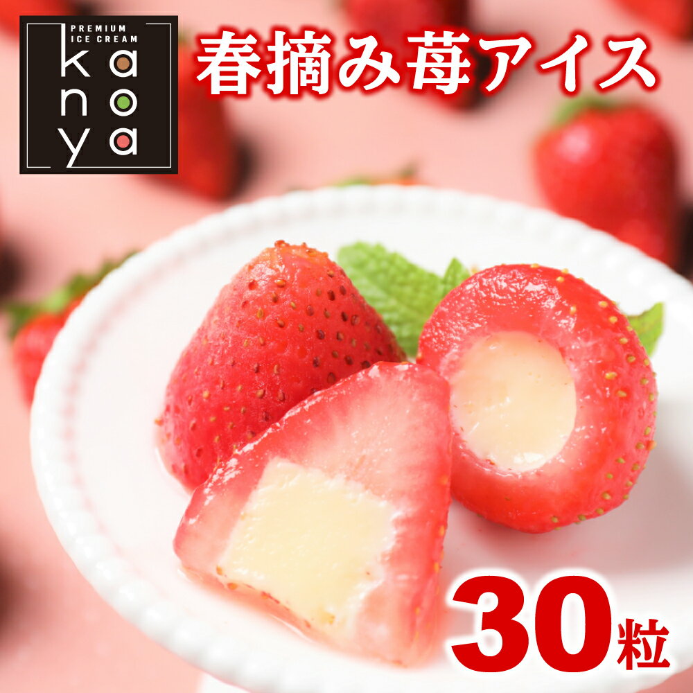 【6/11 01:59まで3,780円→3,390円】 アイ