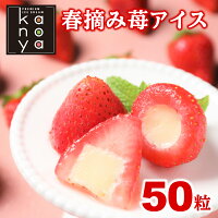 【27日09時59分まで4,250円→3,490円】 アイスクリーム アイス 福袋 食品ロス 訳あ...