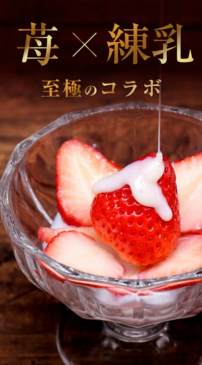 アイス ギフト バレンタイン アイスクリーム 内祝い 出産内祝い 快気内祝い 結婚祝い お礼 お返し お祝い 贈り物 ご挨拶 春摘み苺アイスクリーム(18粒入)格安通販　バレンタイン　人気　ランキング