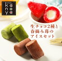 アイス 福袋 詰め合わせ 生チョコア