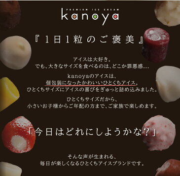 アイス 福袋 詰め合わせ ギフト 生チョコアイス チョコアイス イチゴ アイスクリーム 内祝い 出産内祝い 快気内祝い 結婚祝い お礼 お返し お祝い 贈り物 ご挨拶 生チョコアイスクリーム&苺アイスクリームセット