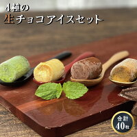 お歳暮 御歳暮 アイス 福袋 詰め合わせ ギフト アイスクリーム 生チョコアイス チョコアイス 歳暮 おしゃれ 内祝い 引っ越し挨拶 出産内祝い 内祝い 快気内祝い 結婚祝い お祝い返し お返し お祝い 贈り物 4種の生チョコアイスクリームセット