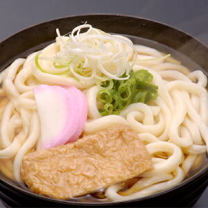 うどん 冷凍 鹿野屋冷凍うどん (5食×2袋) スープ付 ※ポイント対象外